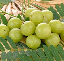 Amla