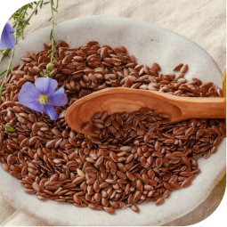 Sesame Oil (Cold Processed)